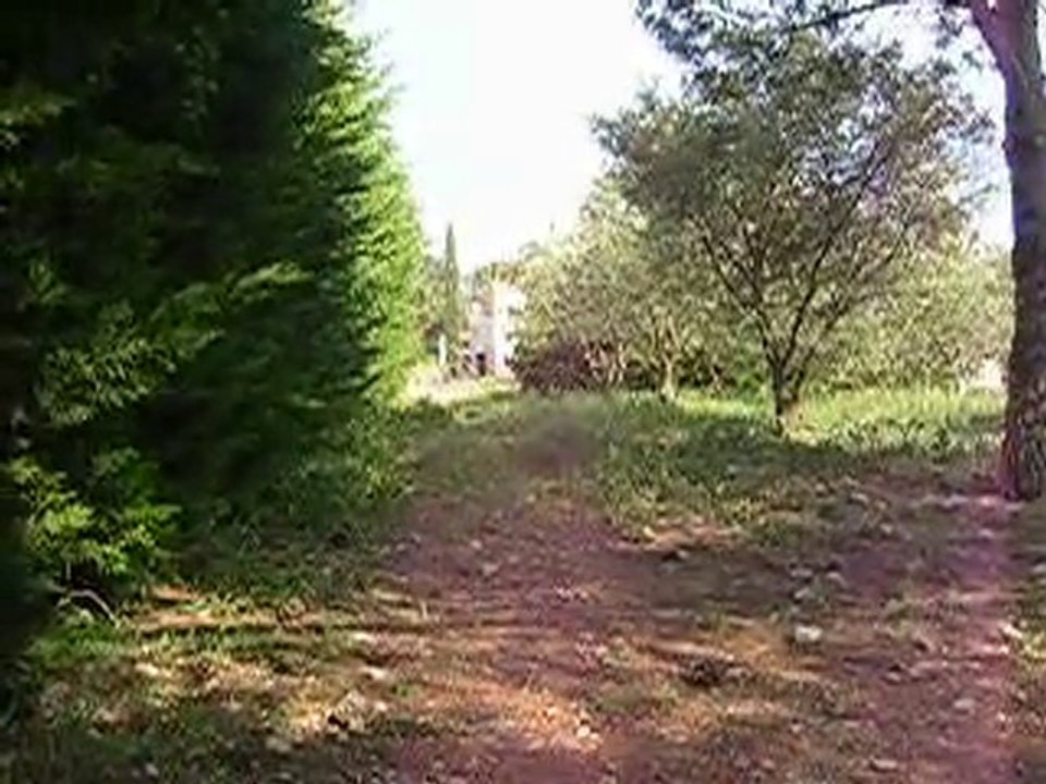 Pepito et moi a crus sans licol galop