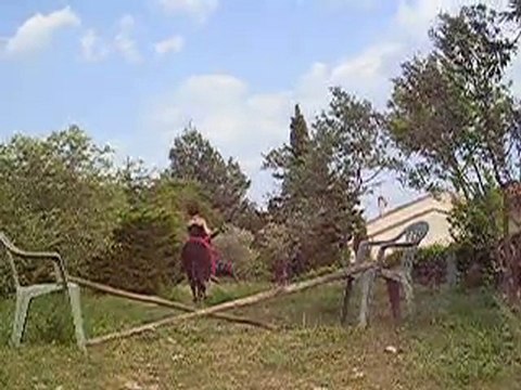 Pépito et moi en saut a cru sans licol ni renes