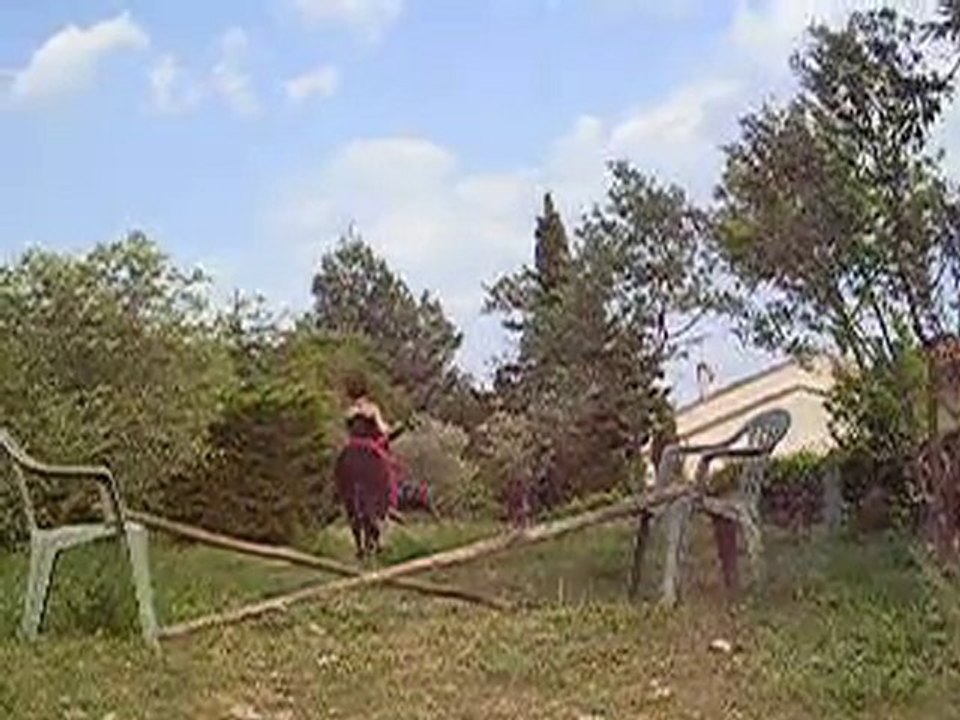 Pépito et moi en saut a cru sans licol ni renes