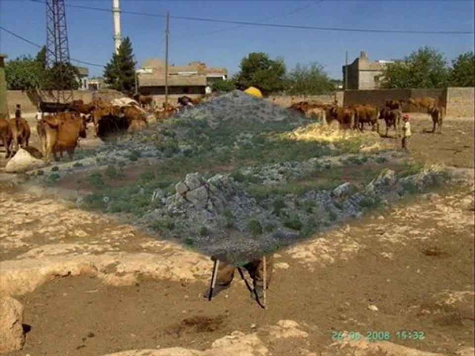 cikan killik deliler nizamettin aric aydil