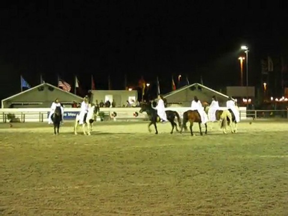 Foire chevaux