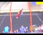 Gymnastics - 2002 World Championships - Rings - Krylov