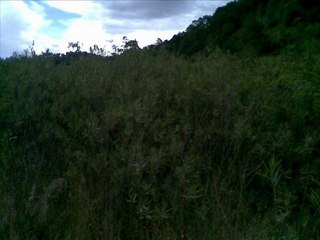 Temnozor - Pagan Sunrises (Faith of Fire)