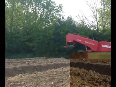 plantation de pommes de terres 2010