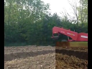 plantation de pommes de terres 2010