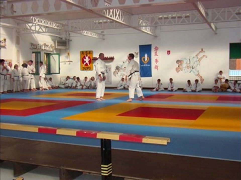 Ceintures 16-06-10 à l'A.S.E. JUDO