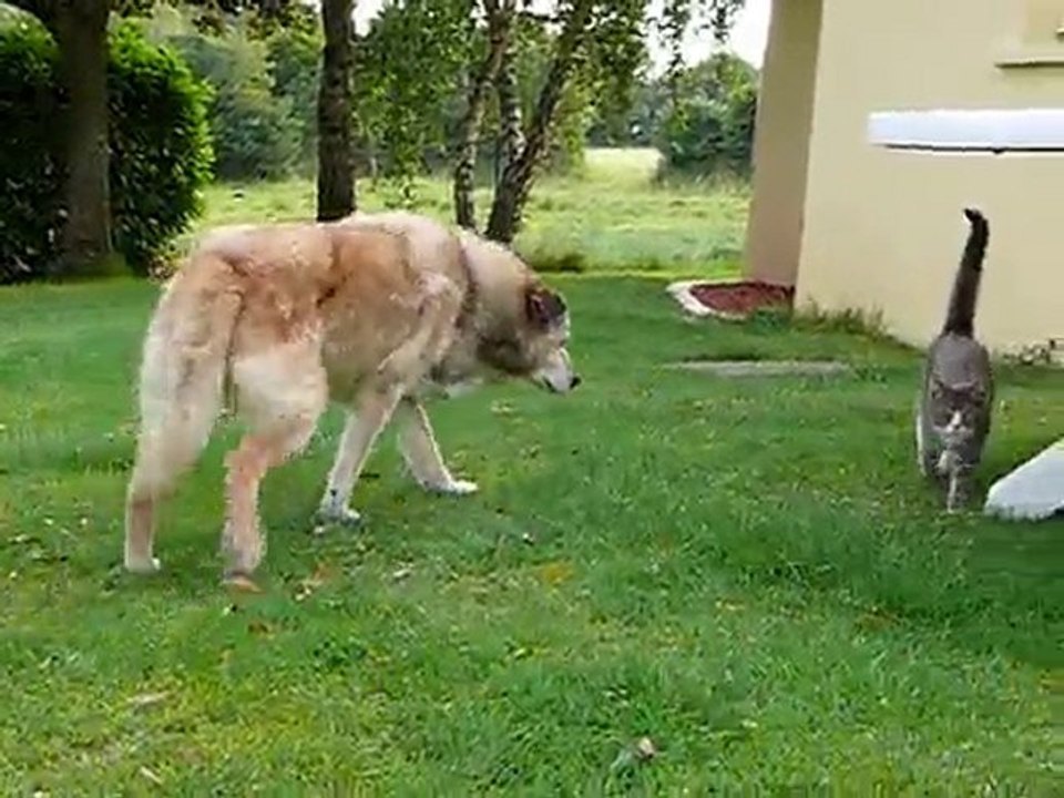 BOB, doyen de TAIGA
