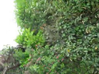 trail Ile d'Yeu 2010 (9)