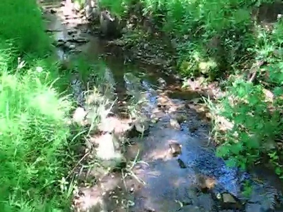 Hasgözeler, Esenyurt (Hırdomus) Köyü