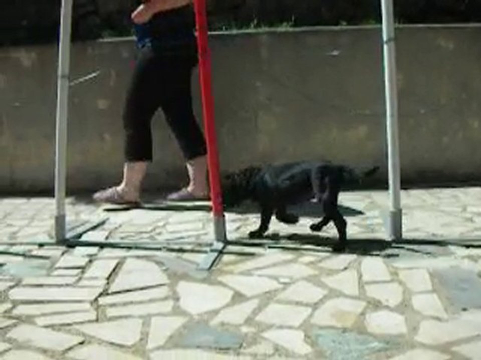 kiss slalom 2