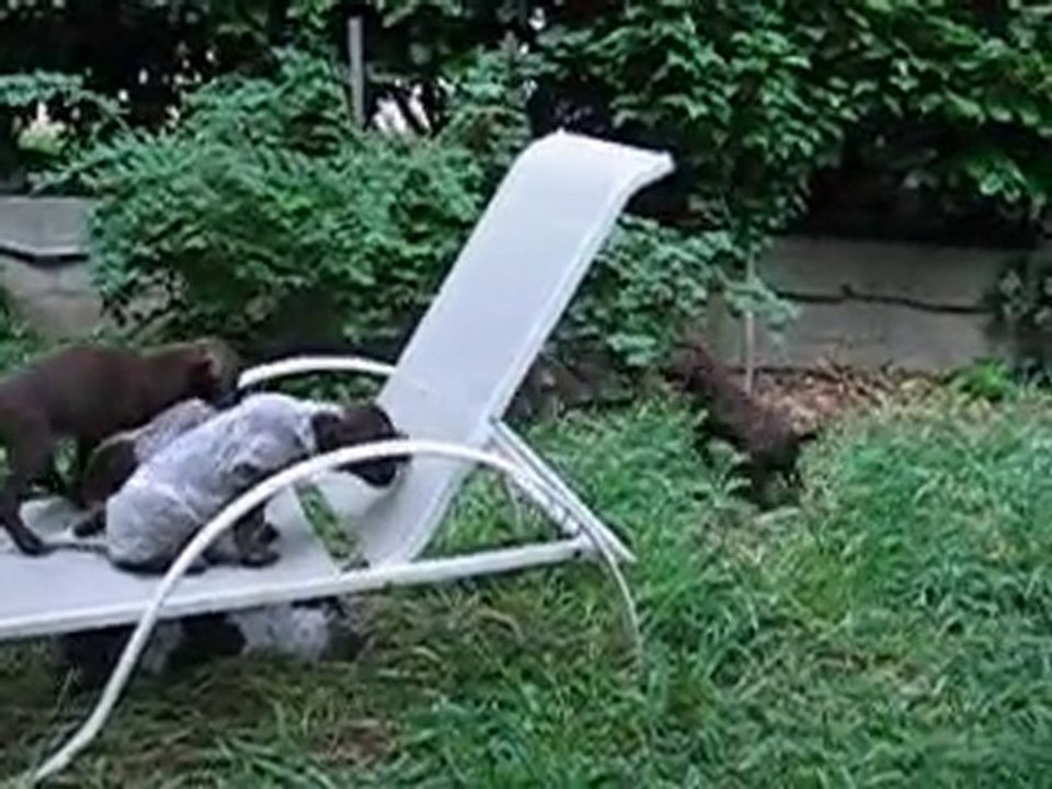 Qu'est ce qu'on s'amuse !