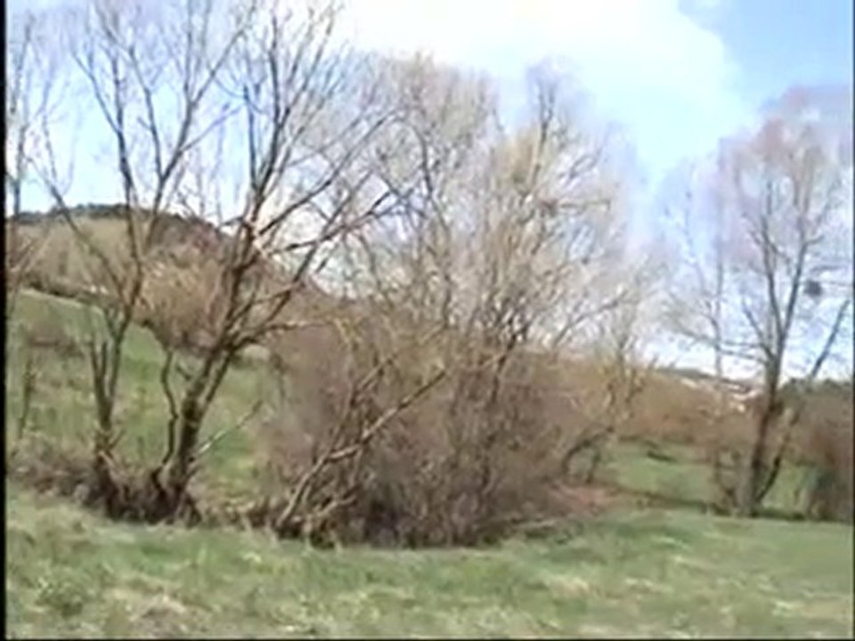 Aşk hikayesi