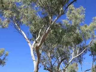 Australia Inside Out: Ep. 1 - Julia Creek to Mt. Isa