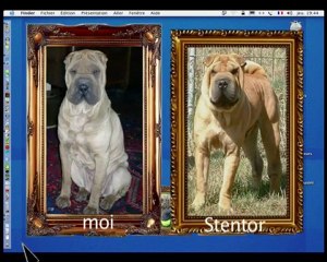 uguette, ma vie, mon oeuvre