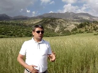 2010 Abaz Atlık Pikniği - Kertmen Yolu