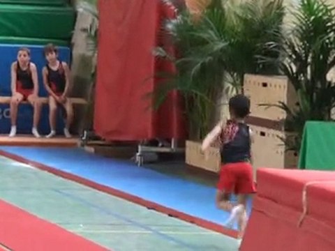 Gymnastique Poussins 13/06/2010 Bures sur Yvette