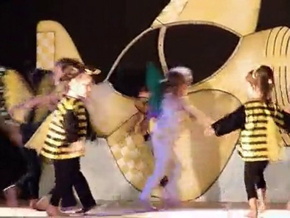 GALA DANSE ST GEORGES DE COMMIERS