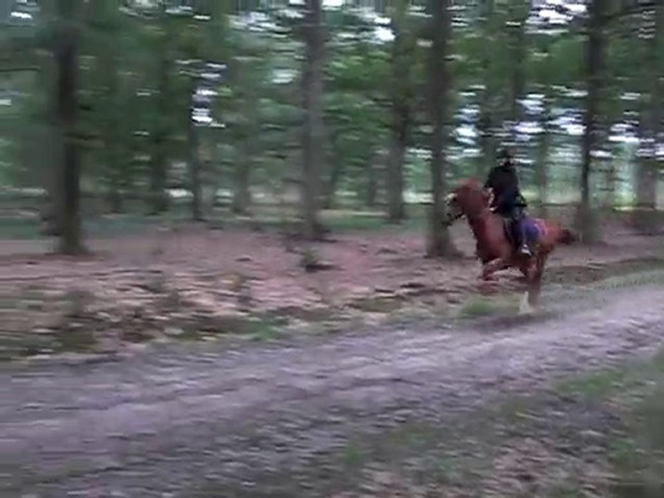 galop pleine balle