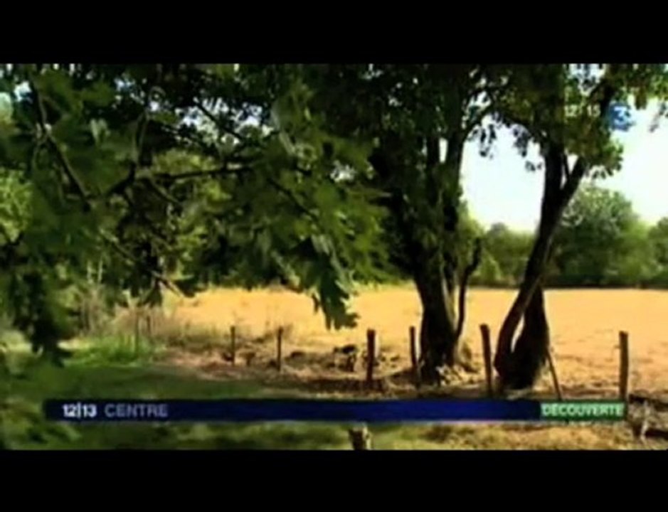 Boischaut sud - Résumé du film et Interviews FR3