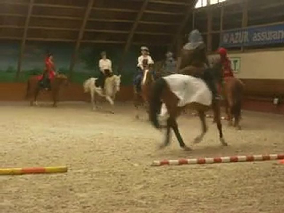 Carrousel Pole equestre du lys