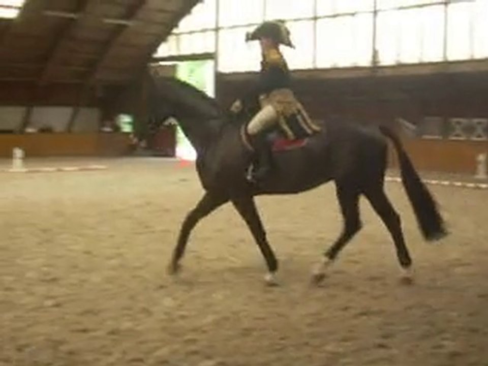 Pas de 2 Pole equestre du lys
