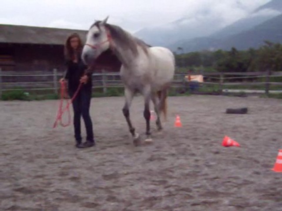 Hidalgo 5ème scéance