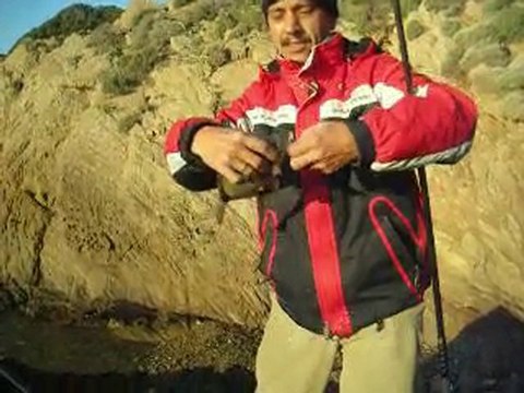 Hasan BALIKÇI balikcilar.org