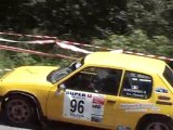 Rallye Viganais 2010