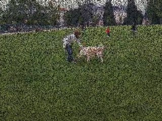 OBR Kenaï Juin 2010