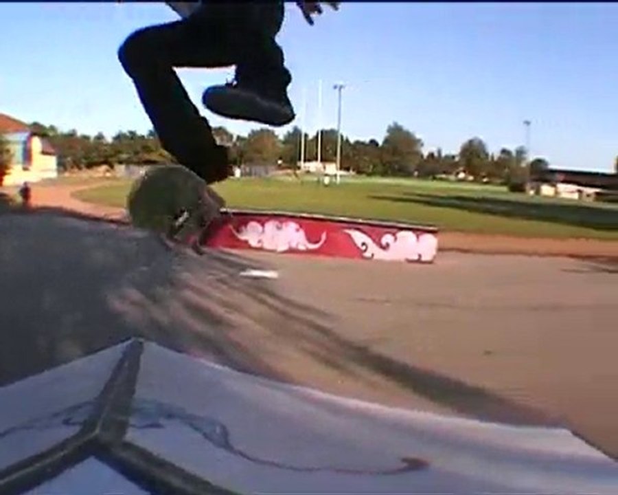 skate web video 2010