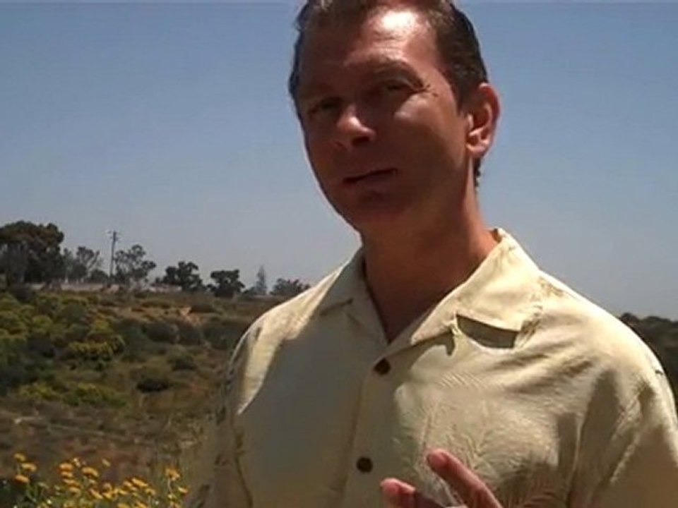 "Main St Marketing Scam, Traffic Geyser Review,Firepower"