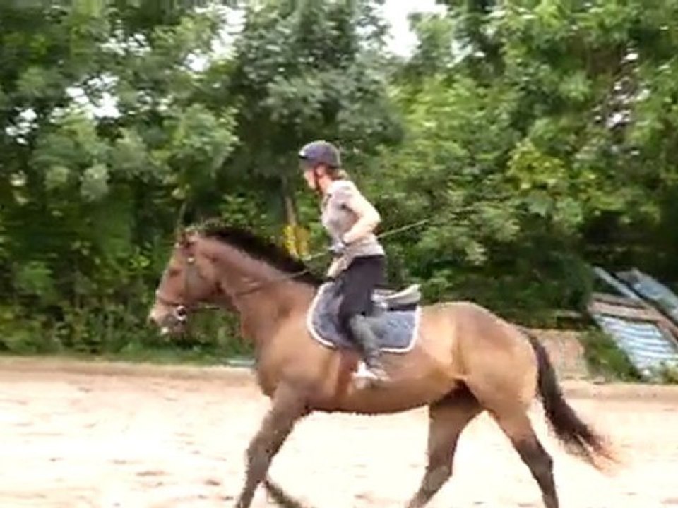 Silhouetting plat 18 juin 2010