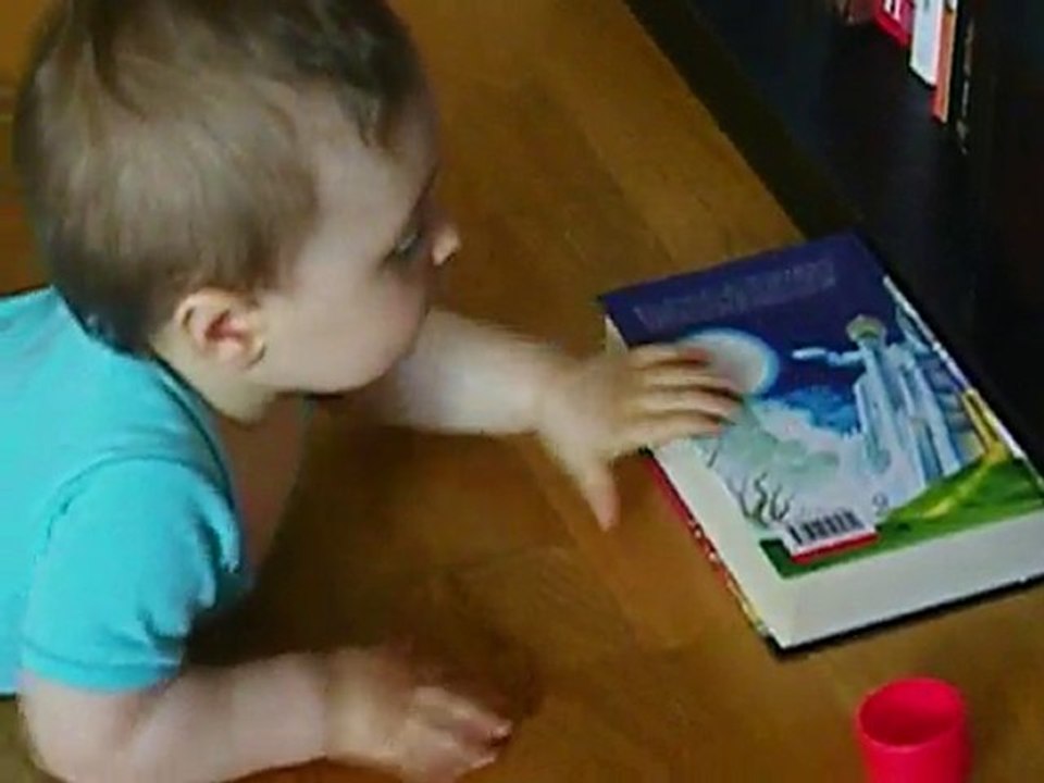 je lis harry potter... et en anglais my dear !