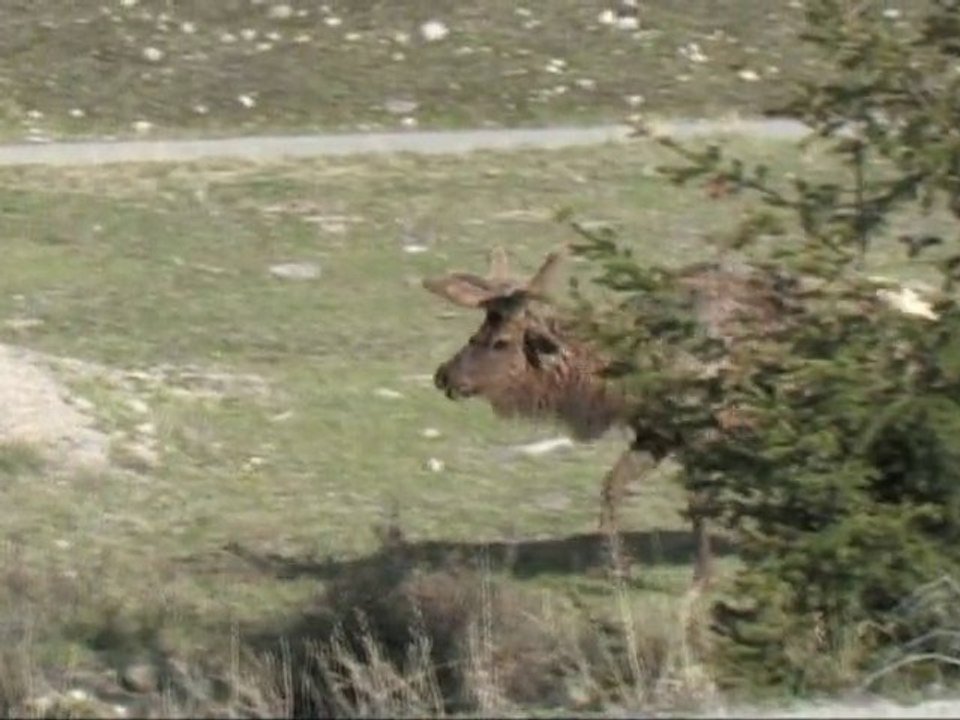 RockyMountains Part1