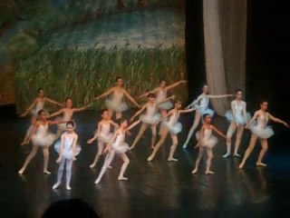 Gala de Danse 2010 / 5