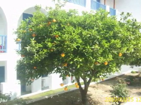 Hotel Polos - Parikia - Paros - Greece