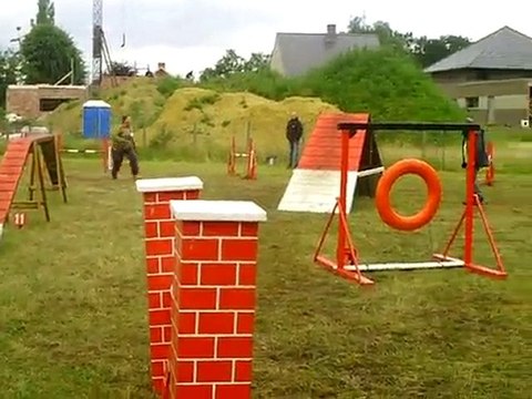 Concours Herentals Vast 1 DIXIE grade 2 Large