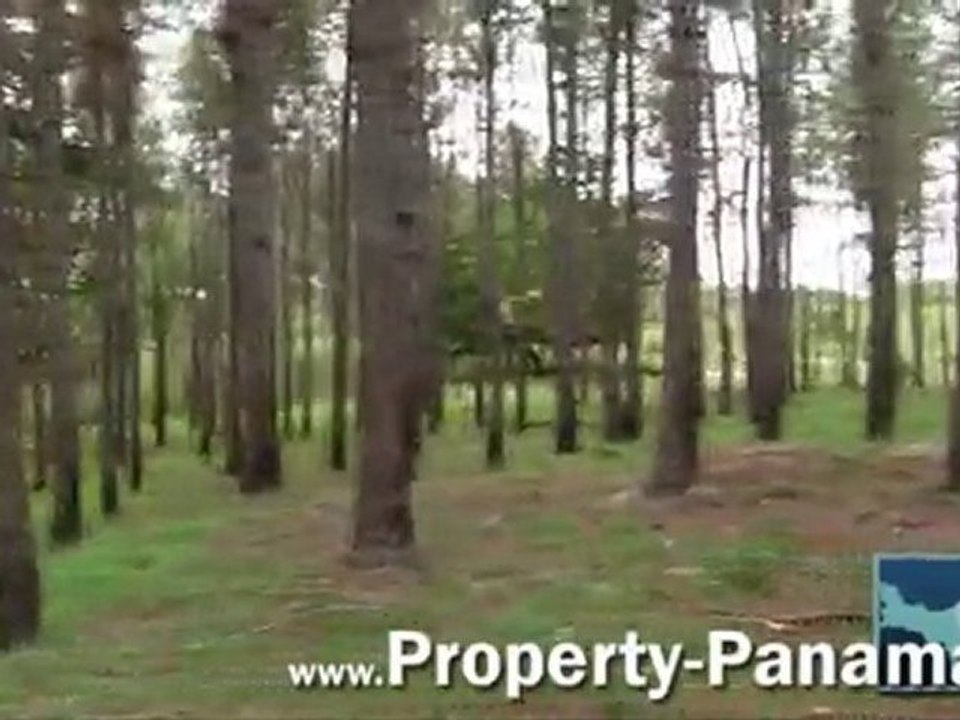 Property-Panama Land Penenome