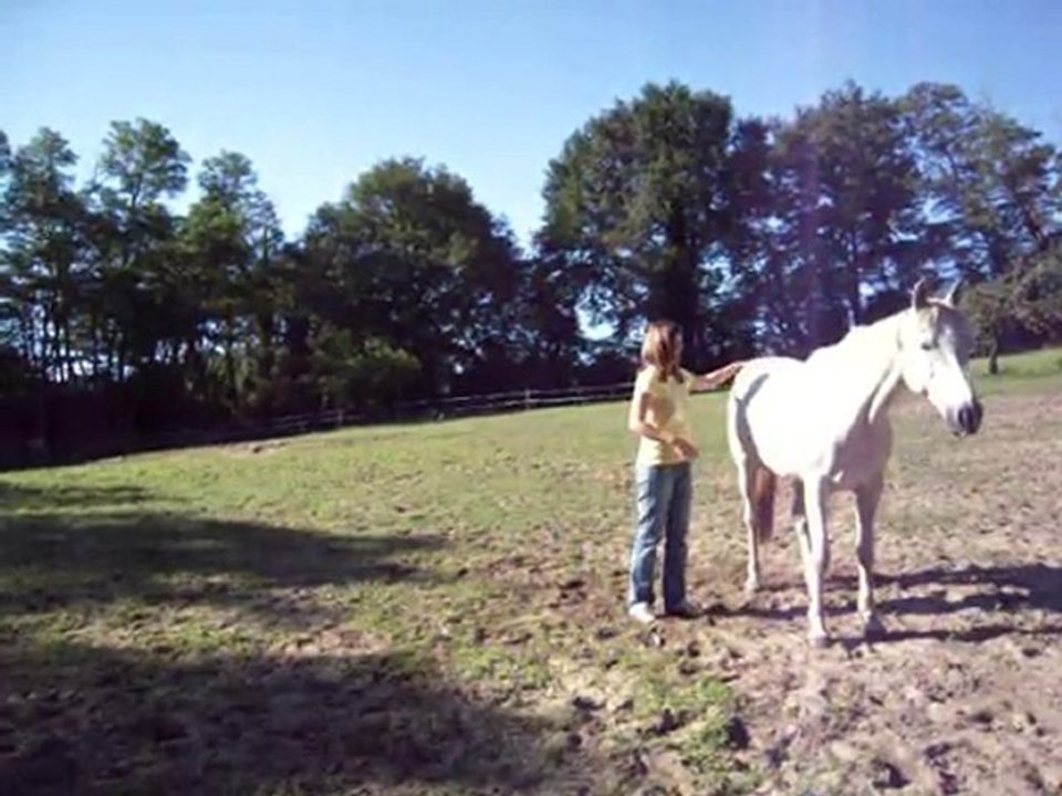 lucky21.06.10