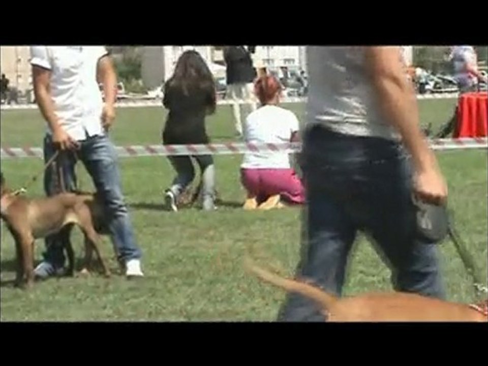 20.06.2010 IRK STANDARTLARI YARIŞMASI