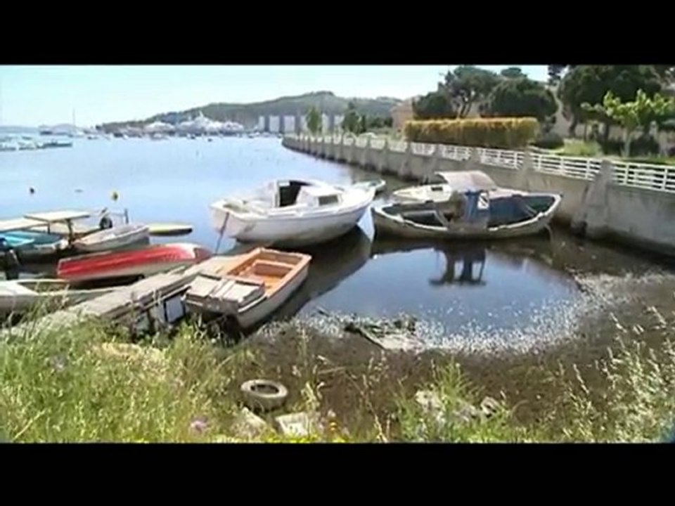 Opération port propre 2010