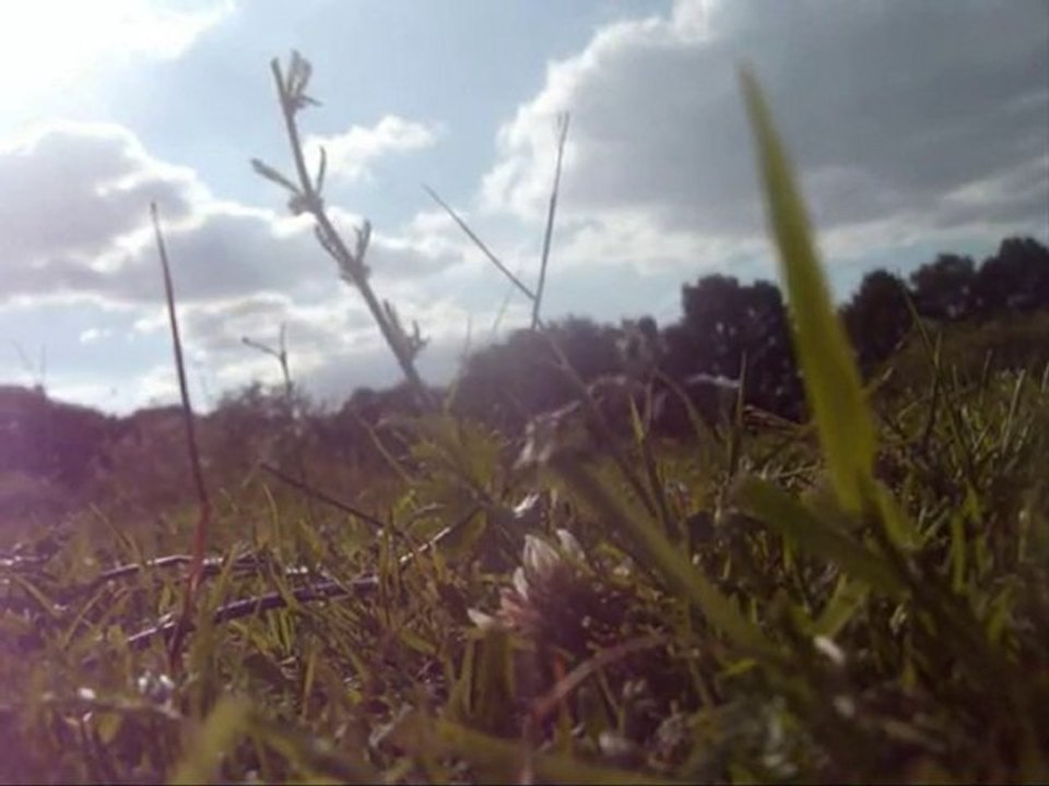 Toupie, Tonerre, Uskyna ♥