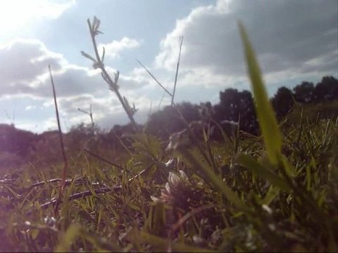 Toupie, Tonerre, Uskyna ♥