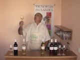 Vin de Pays des Landes