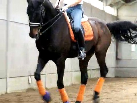 PLR - Patrick LE ROLLAND - Changement de pied - Jan SYMONS 1/3