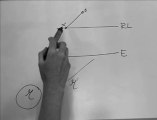 FUNDAMENTOS DE HOMOLOGÍA. Segunda parte.