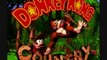 Donkey Kong Country Music - Cave Dweller Concert