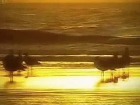 Orson Welles - I know what it is to be young...