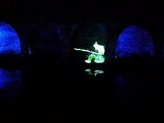 Chartres en lumières 2010