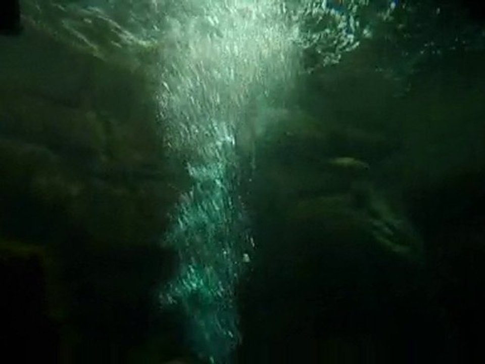Aquarium de St-Malo